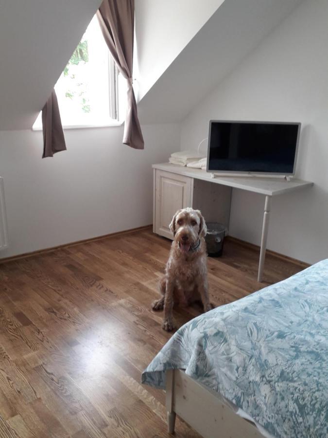 Bed and Breakfast Rosenberg Kuria Taplanszentkereszt Zewnętrze zdjęcie